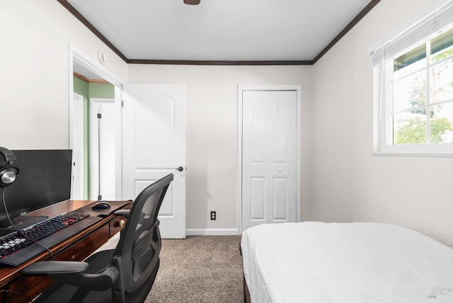 216 Walnut St, Suisun City, CA 94585 - carpeted bedroom with crown molding, an office area, and a closet