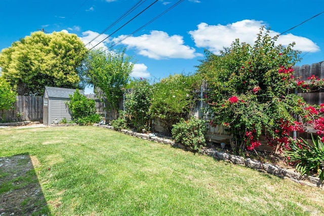 216 Walnut St, Suisun City, CA 94585 - fenced backyard with a shed