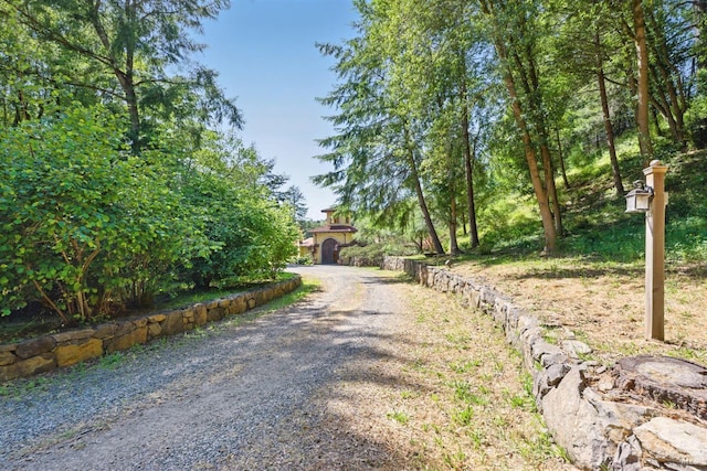 11018 Moonshine Rd, Sebastopol, CA 95472 - view of dirt / gravel driveway