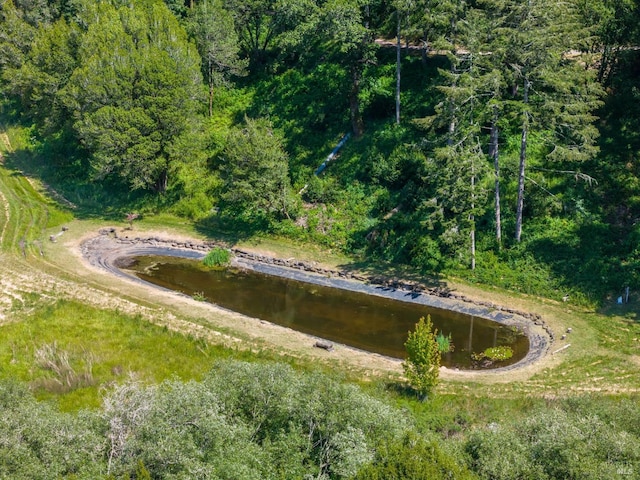 11018 Moonshine Rd, Sebastopol, CA 95472 - aerial overview of property's location with a nearby body of water and a heavily wooded area