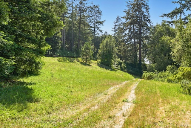 11018 Moonshine Rd, Sebastopol, CA 95472 - view of street with a forest view