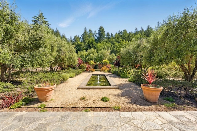 11018 Moonshine Rd, Sebastopol, CA 95472 - view of property's community