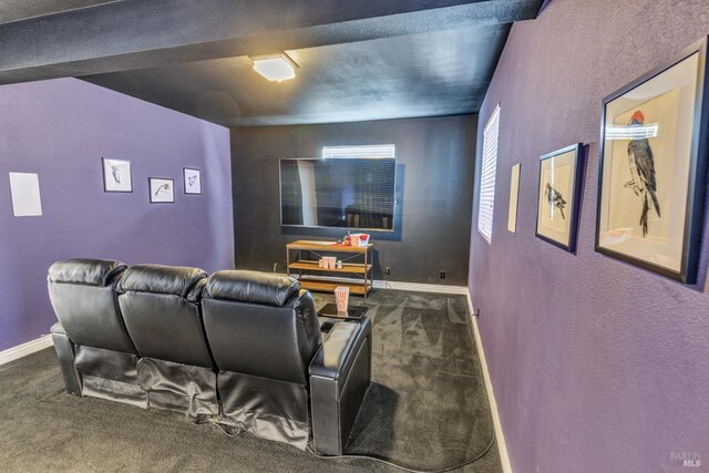 1130 W 9th St, Benicia, CA 94510 - carpeted home theater featuring baseboards and a textured wall