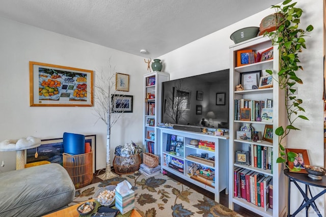 2720 Laurel St, Napa, CA 94558 - living room featuring a textured ceiling