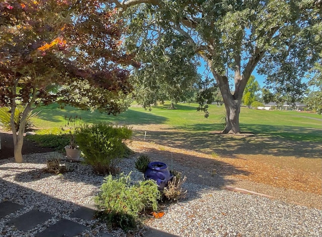 164 Oak Island Dr, Santa Rosa, CA 95409 - view of grassy yard