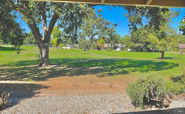 164 Oak Island Dr, Santa Rosa, CA 95409 - view of grassy yard