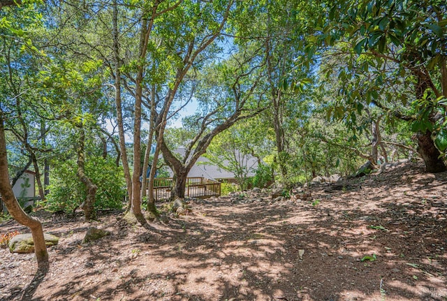 3604 Holly Ridge Dr, Santa Rosa, CA 95409 - view of yard