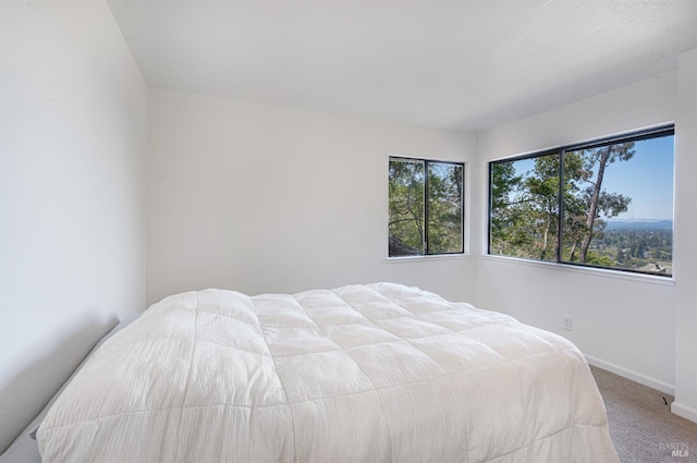 3604 Holly Ridge Dr, Santa Rosa, CA 95409 - carpeted bedroom featuring baseboards