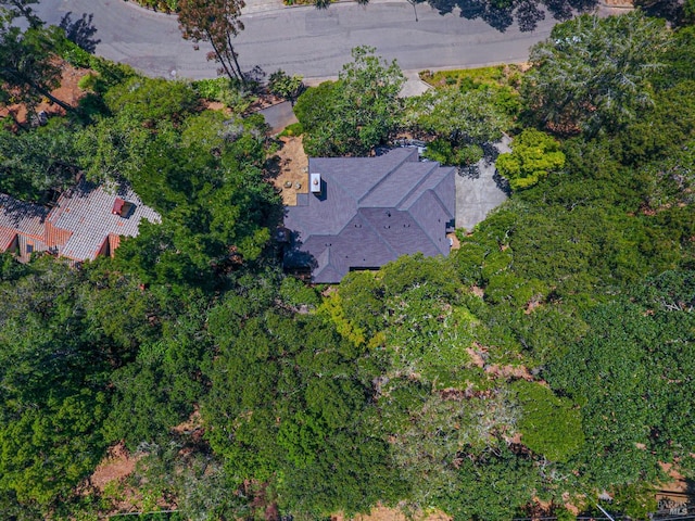3604 Holly Ridge Dr, Santa Rosa, CA 95409 - aerial view of property's location