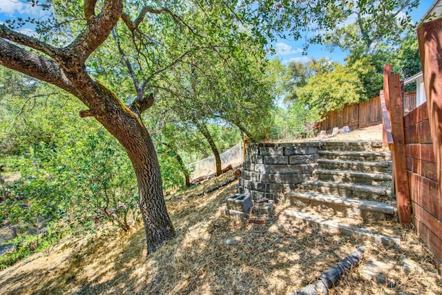2588 King Edward Ct, El Dorado Hills, CA 95762 - view of fenced backyard