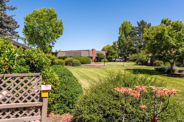 406 White Oak Dr, Santa Rosa, CA 95409 - view of grassy yard