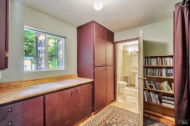 2685 Austin Creek Rd, Cazadero, CA 95421 - bathroom featuring radiator and vanity