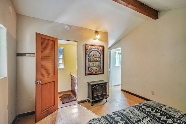 2685 Austin Creek Rd, Cazadero, CA 95421 - foyer featuring a wood stove, light wood-style floors, and plenty of natural light