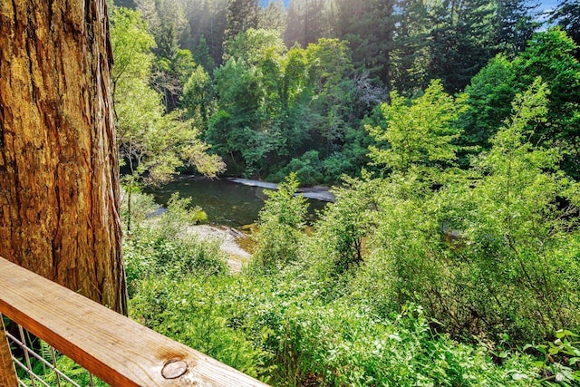 2685 Austin Creek Rd, Cazadero, CA 95421 - view of yard with a forest view