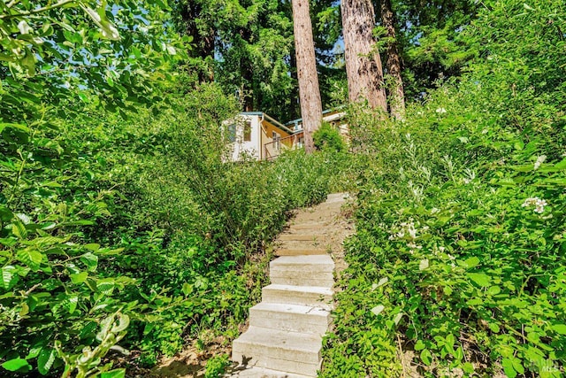 2685 Austin Creek Rd, Cazadero, CA 95421 - view of yard featuring stairway