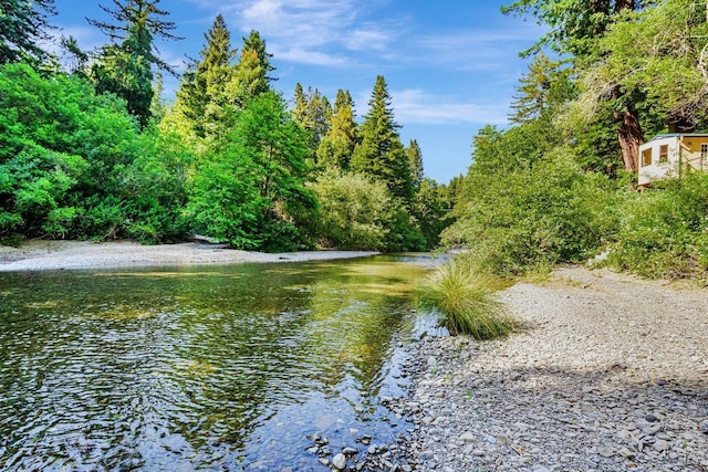 2685 Austin Creek Rd, Cazadero, CA 95421 - water view with a heavily wooded area