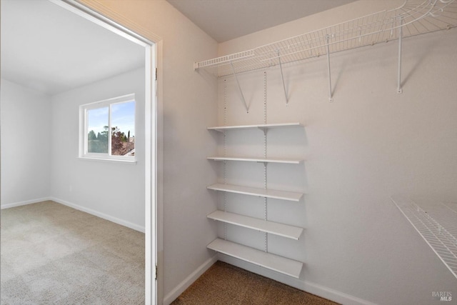766 Calico Trl, Vacaville, CA 95687 - spacious closet featuring carpet flooring
