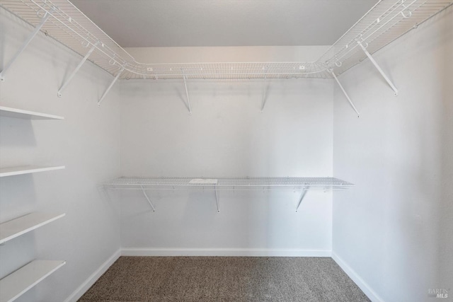766 Calico Trl, Vacaville, CA 95687 - walk in closet with carpet flooring