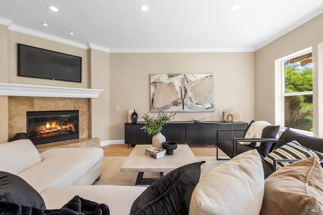 3439 Selene Ct, Santa Rosa, CA 95404 - living area with crown molding, light wood finished floors, recessed lighting, and a high end fireplace