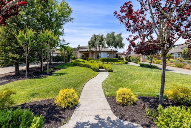 3439 Selene Ct, Santa Rosa, CA 95404 - view of front facade with a front lawn