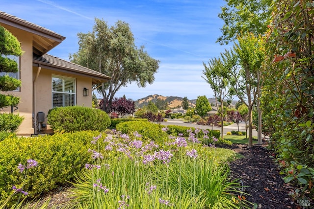 3439 Selene Ct, Santa Rosa, CA 95404 - view of yard with a mountain view