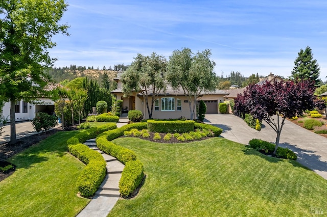 3439 Selene Ct, Santa Rosa, CA 95404 - obstructed view of property with concrete driveway, an attached garage, a front yard, and stucco siding