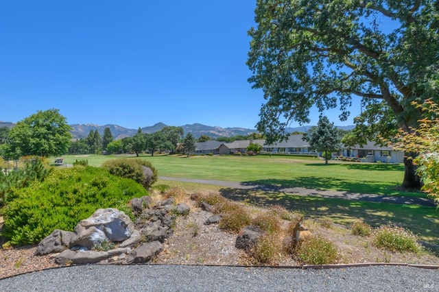 378 Miramonte Pl, Santa Rosa, CA 95409 - view of green lawn with a mountain view