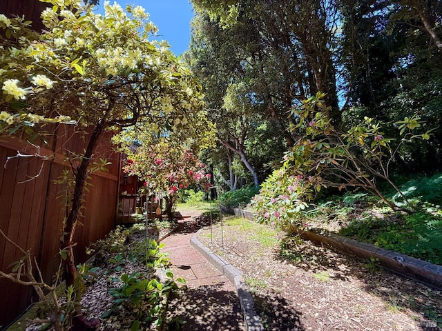 32691 Pearl Dr, Fort Bragg, CA 95437 - view of yard