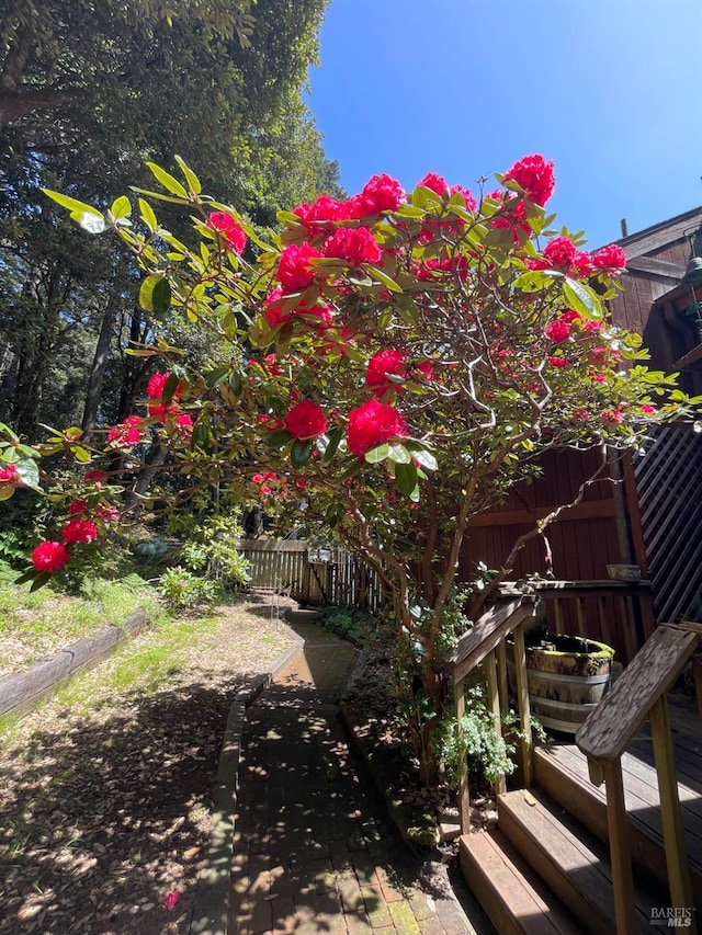 32691 Pearl Dr, Fort Bragg, CA 95437 - view of yard