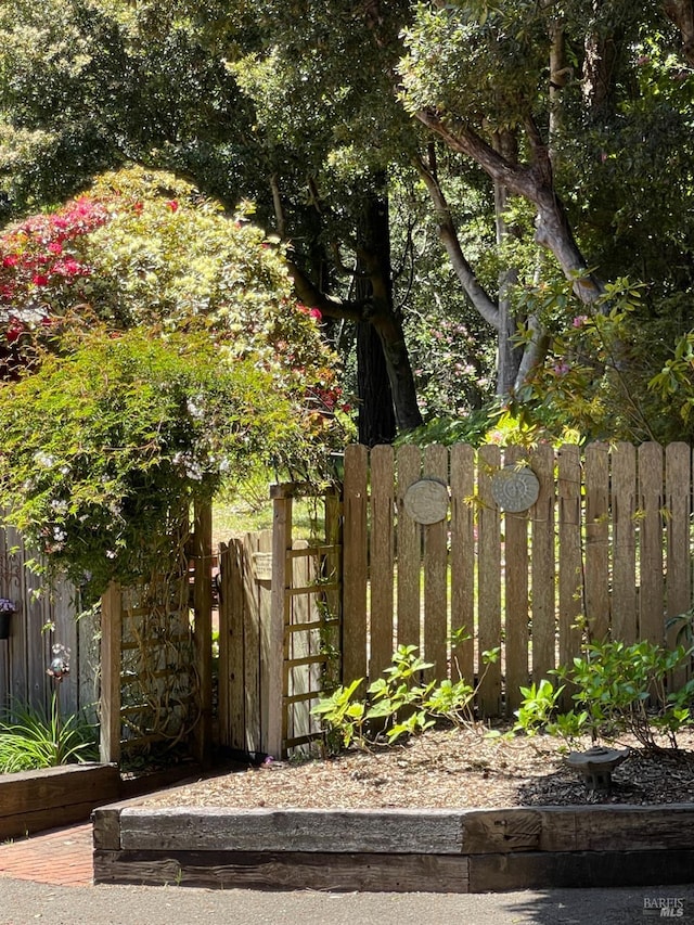 32691 Pearl Dr, Fort Bragg, CA 95437 - view of yard