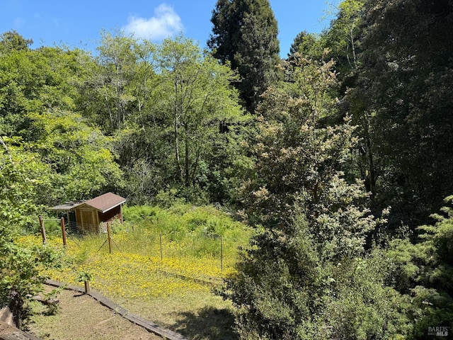 32691 Pearl Dr, Fort Bragg, CA 95437 - view of yard with a forest view and an outbuilding