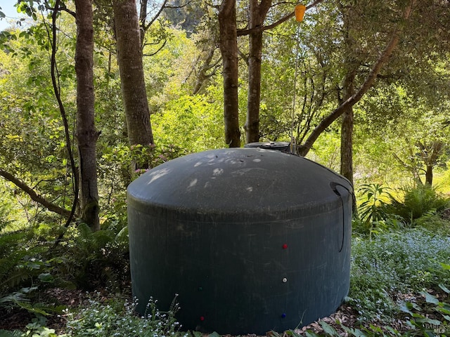 32691 Pearl Dr, Fort Bragg, CA 95437 - exterior view of a heavily wooded area