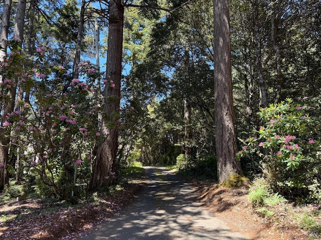 32691 Pearl Dr, Fort Bragg, CA 95437 - view of street featuring a wooded view