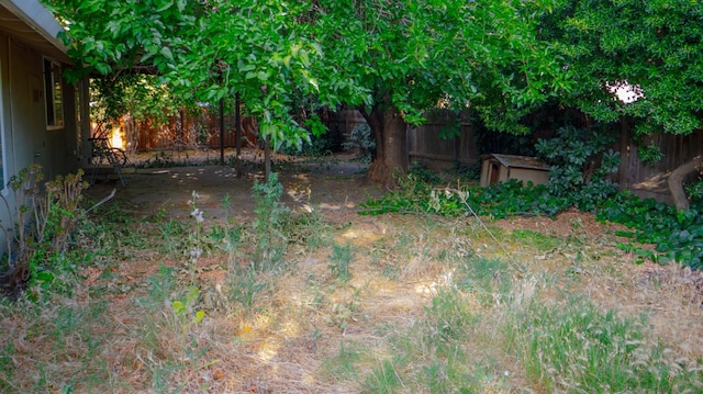 1701 Palm Pl, Davis, CA 95618 - fenced backyard with a storage unit