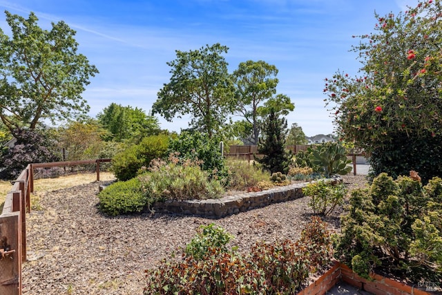 1288 Triple Oak Way, Fulton, CA 95439 - view of yard