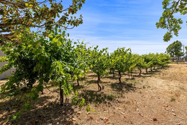 1288 Triple Oak Way, Fulton, CA 95439 - view of undeveloped land with large plots for crops and rural landscape