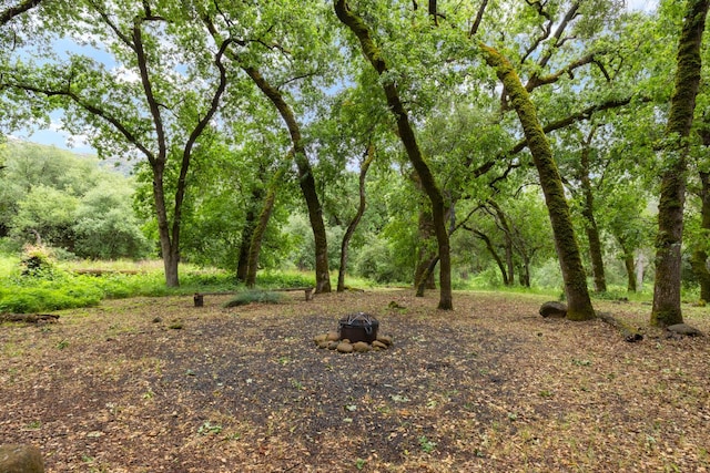 5338 Deception River Rd, Chico, CA 95928 - view of undeveloped land