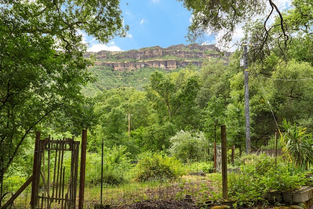 5338 Deception River Rd, Chico, CA 95928 - view of mountain backdrop featuring a forest