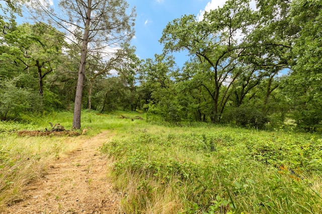 5338 Deception River Rd, Chico, CA 95928 - view of tree filled area
