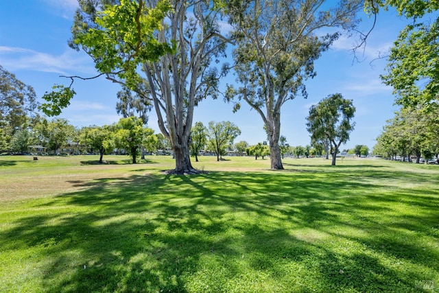20 Selfridge St, Vallejo, CA 94590 - surrounding community with a yard