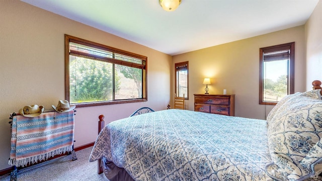 4389 Summit View Ranch Rd, Santa Rosa, CA 95404 - bedroom featuring multiple windows and carpet flooring