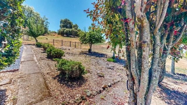 4389 Summit View Ranch Rd, Santa Rosa, CA 95404 - view of yard