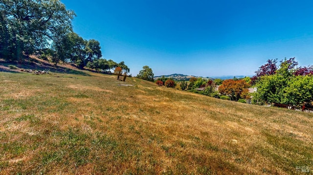 4389 Summit View Ranch Rd, Santa Rosa, CA 95404 - view of grassy yard