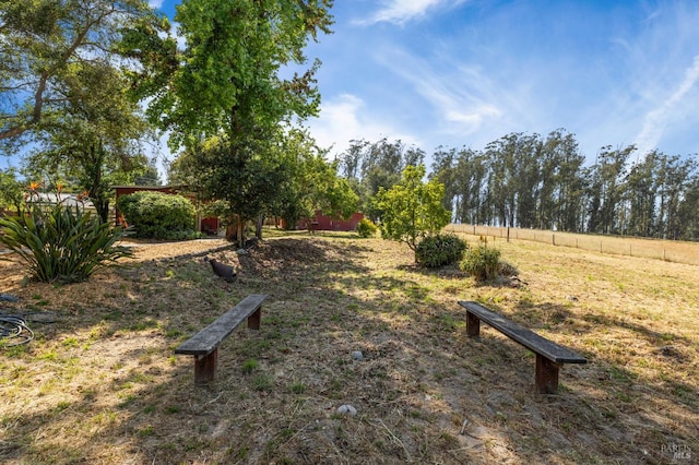 210 Valley View Dr, Petaluma, CA 94952 - view of yard
