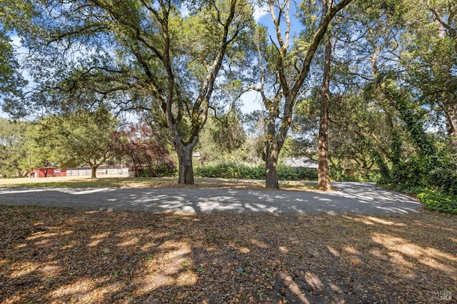 210 Valley View Dr, Petaluma, CA 94952 - view of yard