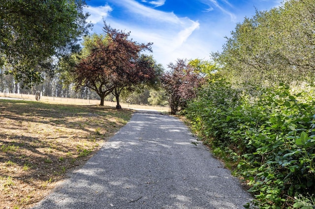 210 Valley View Dr, Petaluma, CA 94952 - view of road