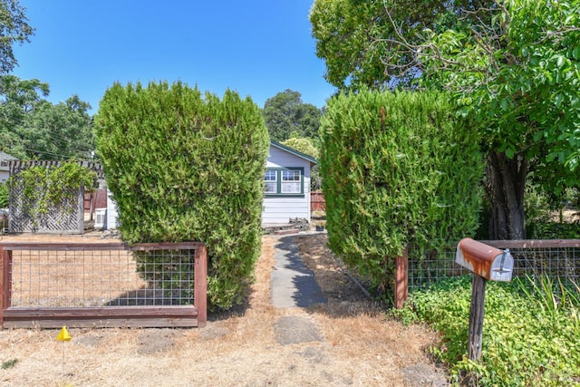 1388 Sulphur Springs Ave, Saint Helena, CA 94574 - view of property hidden behind natural elements