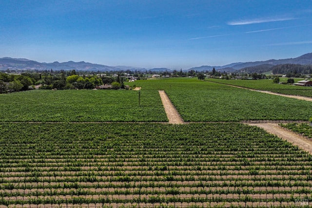 1388 Sulphur Springs Ave, Saint Helena, CA 94574 - view of community with agricultural area, a mountain view, and a view of countryside