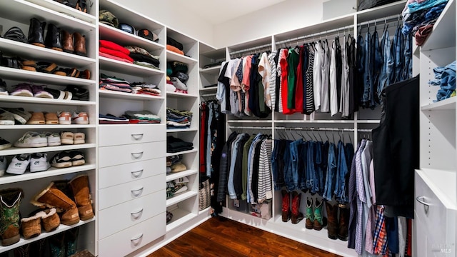 2570 Goodwin Ave, Penngrove, CA 94951 - walk in closet featuring wood finished floors
