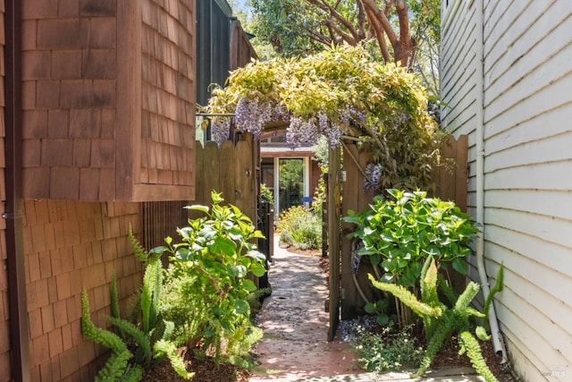 128 Walnut Ave, Mill Valley, CA 94941 - view of yard